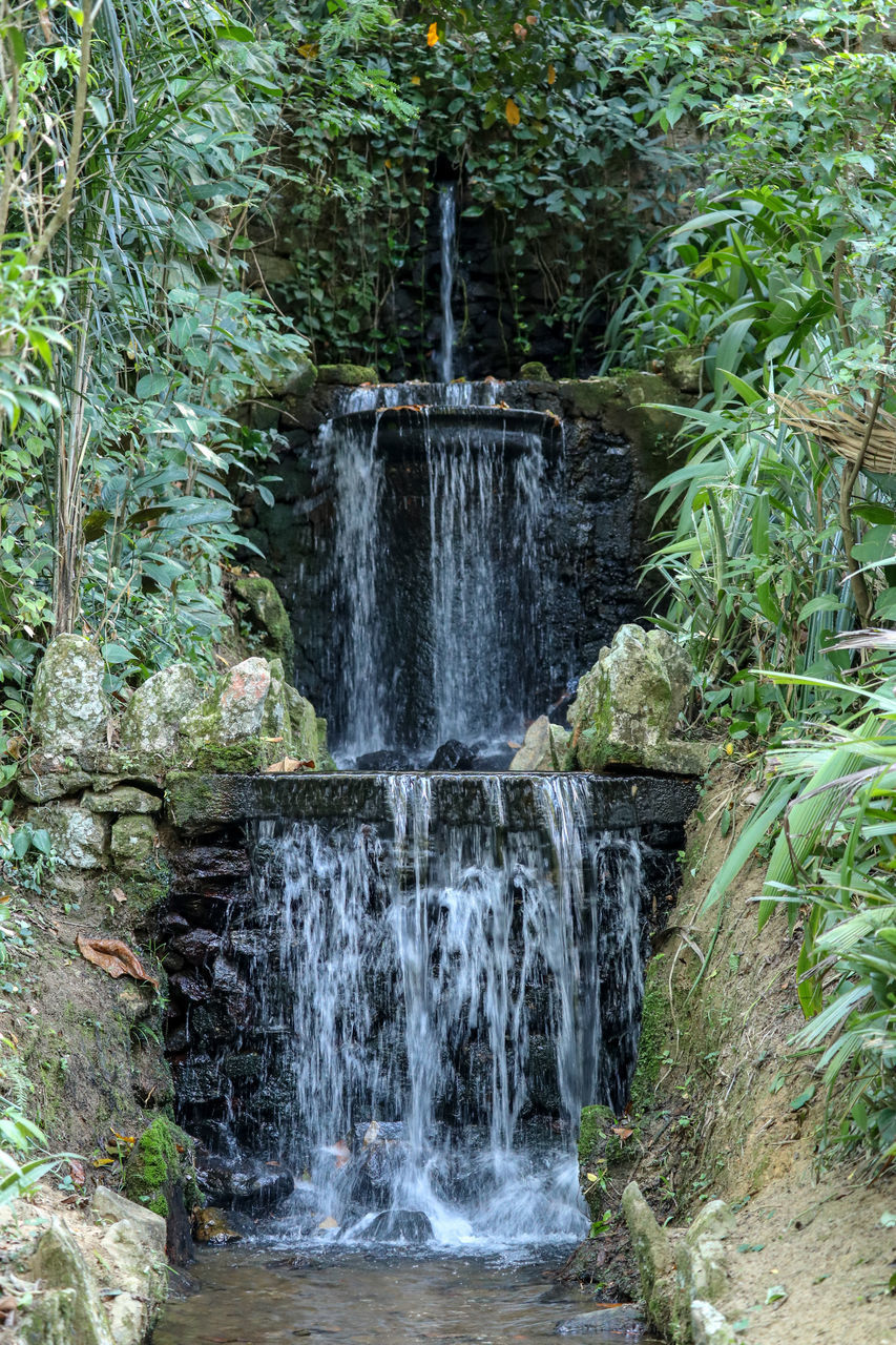 WATER FLOWING THROUGH ROCKS IN FOREST