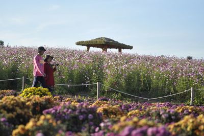 People standing by purple flowering plants on field against sky