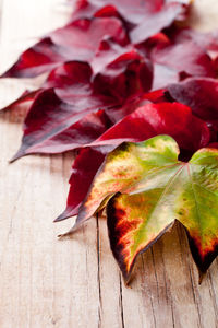 High angle view of leaves on table