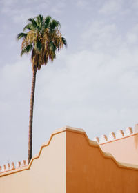 Low angle view of palm trees against sky