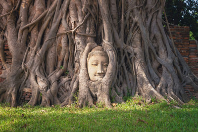 View of buddha statue