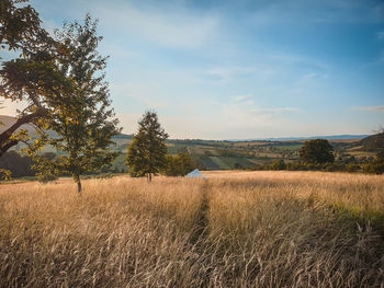 Scenic view of field against sky