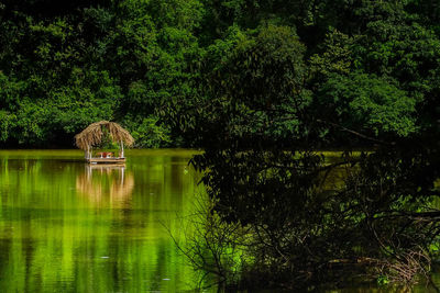 Scenic view of lake in forest