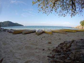 Scenic view of beach against sky