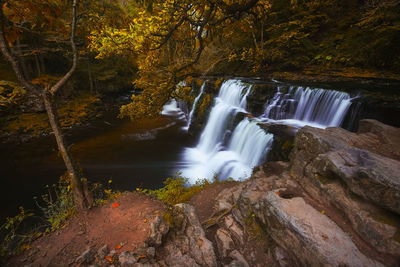 Scenic view of waterfall in forest