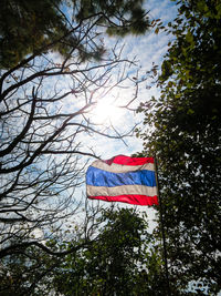 Low angle view of flag against sky