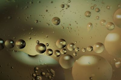 Oil mix water bubbles photography.