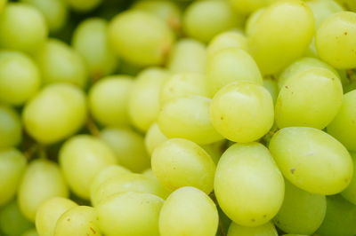 Full frame shot of grapes