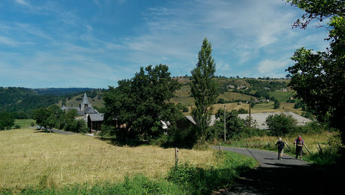 Panoramic view of trees on field against sky