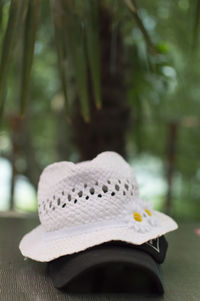 Close-up of white flower