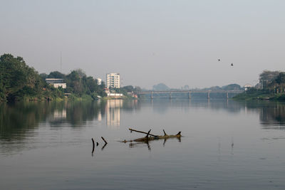 Birds in a lake