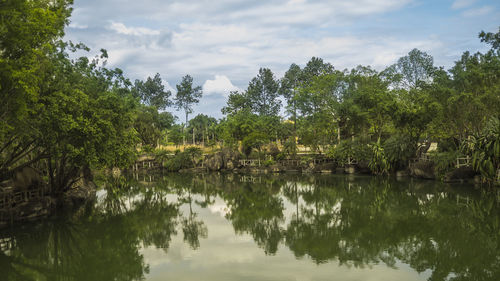 Reflection of trees in lake against sky