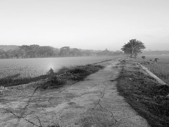 Dirt road amidst field against sky