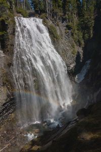 Scenic view of waterfall in forest