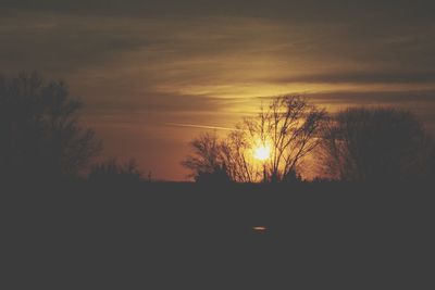 Silhouette trees on landscape against sunset sky