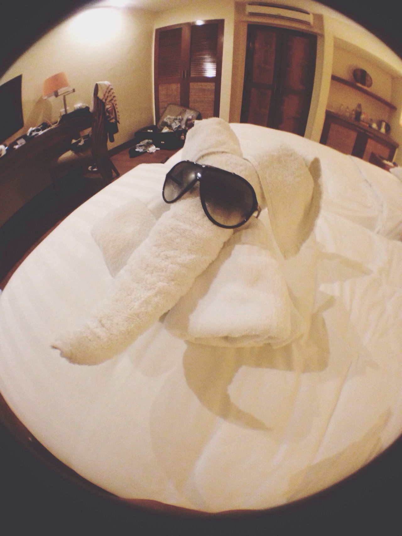 Towel animal