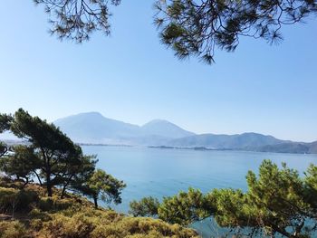 Scenic view of mountains against clear blue sky