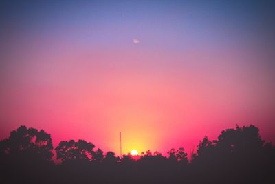 Silhouette trees against sky during sunset