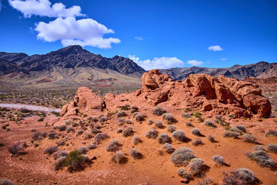 landscape