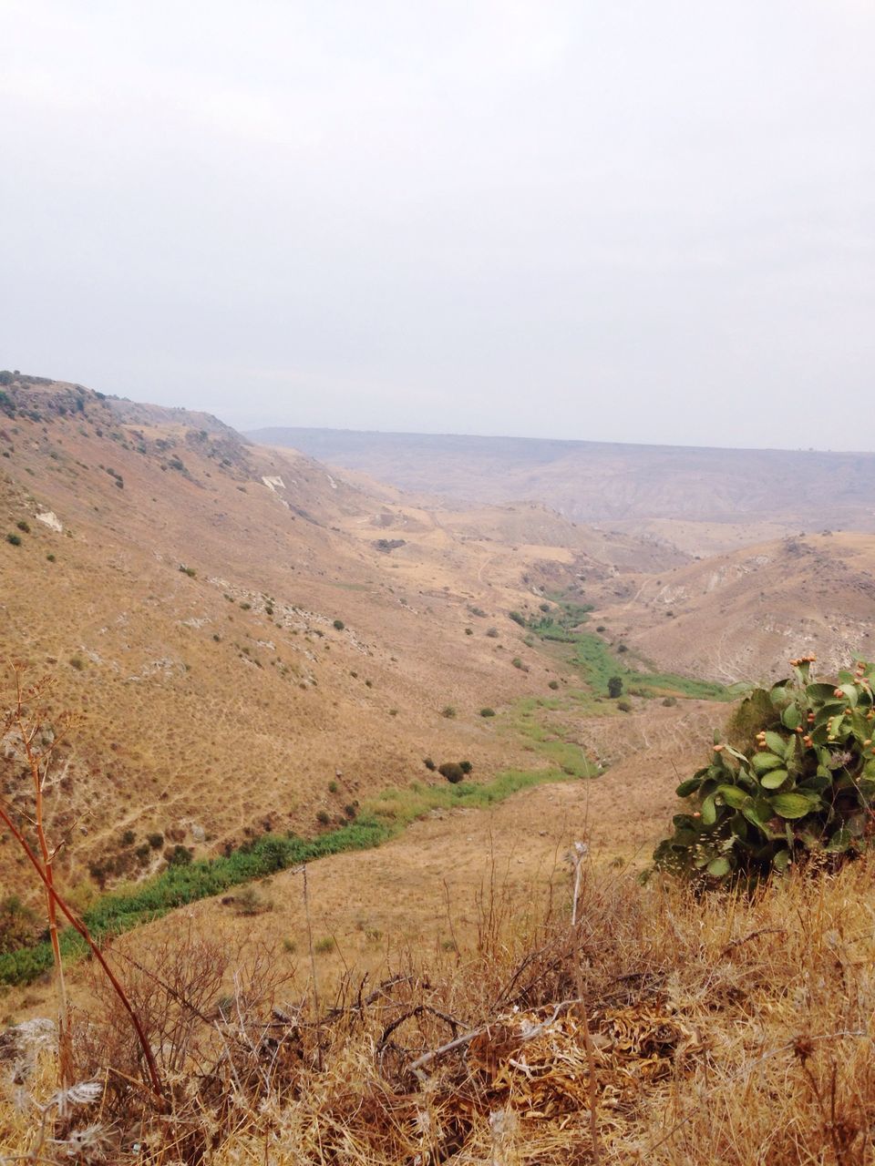 VIEW OF LANDSCAPE AGAINST SKY