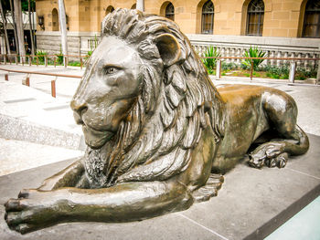 Close-up of lion statue