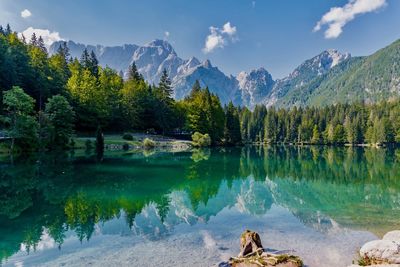 Scenic view of lake by trees against sky