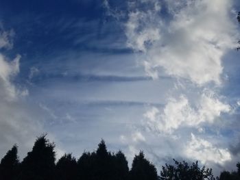 Low angle view of silhouette trees against sky