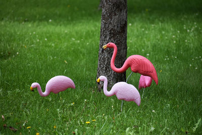 Artificial flamingos on field