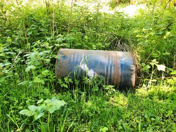 Close-up of abandoned container on field