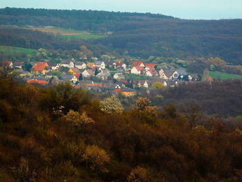 Houses in town