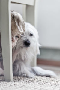 Close-up portrait of cute boy by dog at home