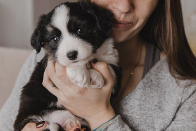 Welsh corgi cardigan cute fluffy dog puppy. close-up portrait of puppy, funny animal