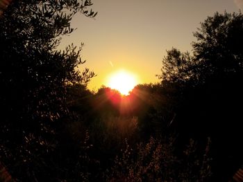 Silhouette trees against sky during sunset