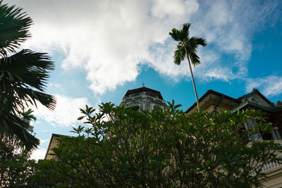 Low angle view of palm trees and plants against sky