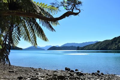 Scenic view of lake against clear blue sky