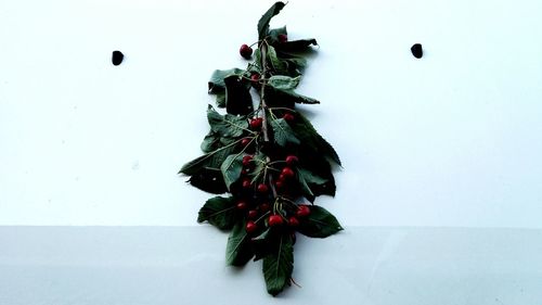 Close-up of christmas decorations over white background