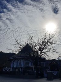 Houses and trees against sky during sunset