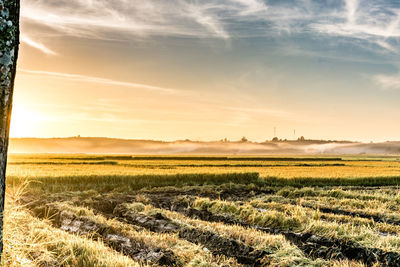 Scenic view of agricultural field against sky during sunset