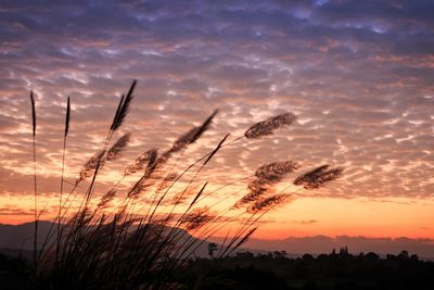 Scenic view of silhouette field against dramatic sky