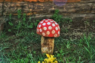 Close-up of fly agaric mushroom on field