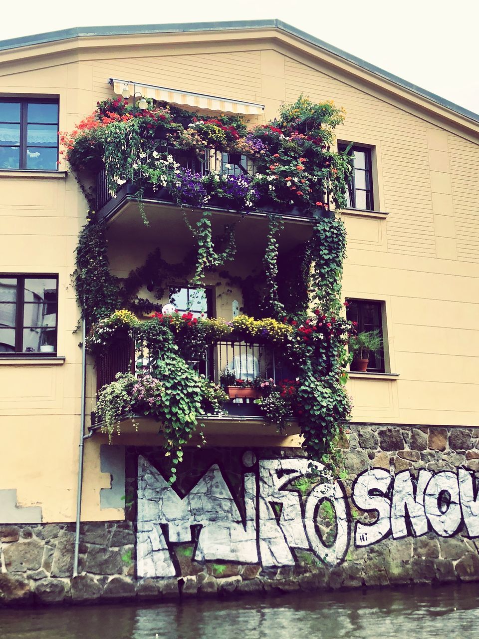 LOW ANGLE VIEW OF POTTED PLANT ON HOUSE WINDOW