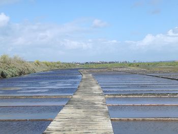 Surface level of boardwalk amidst plants against sky