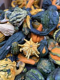 Multicolored gourds