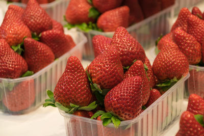 Close-up of fresh strawberries in a small plastic container