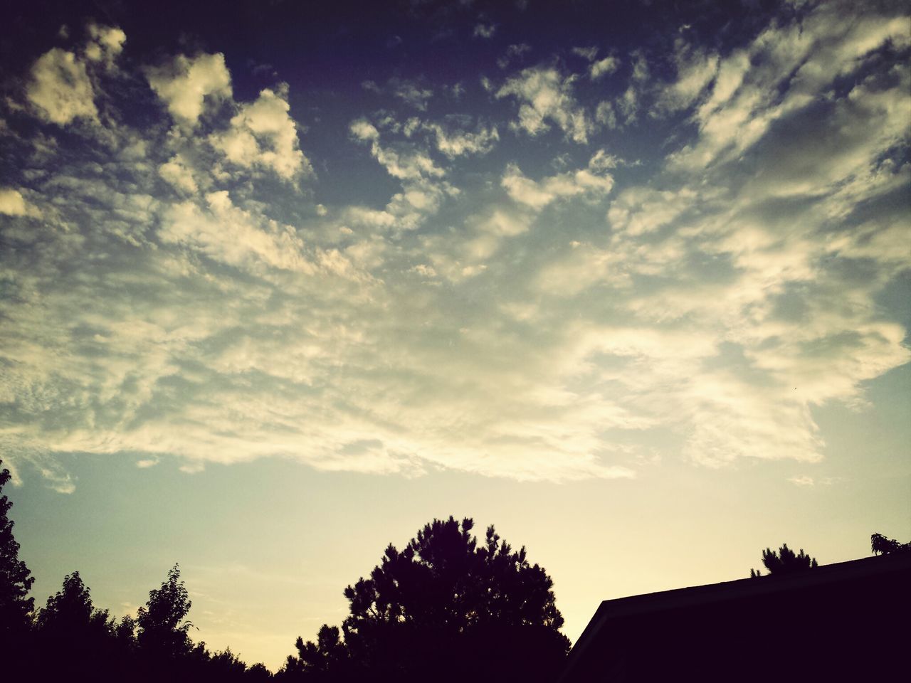 silhouette, low angle view, tree, sky, cloud - sky, beauty in nature, sunset, high section, nature, scenics, tranquility, cloud, building exterior, tranquil scene, growth, outline, built structure, outdoors, cloudy, dusk