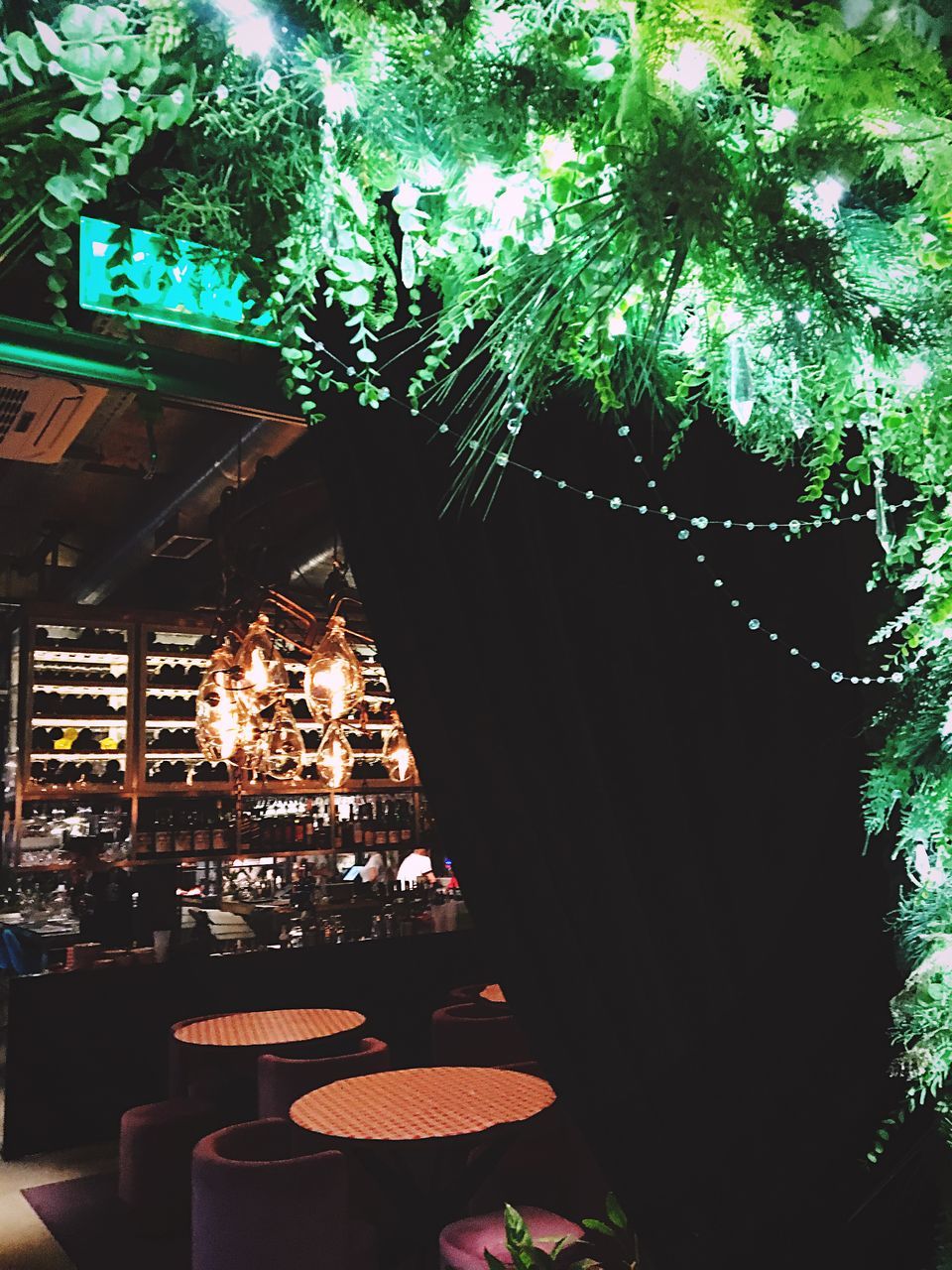 tree, table, green color, no people, outdoors, celebration, growth, architecture, building exterior, built structure, night, illuminated, branch, sky