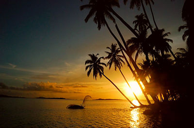 Silhouette palm trees by sea against sky during sunset