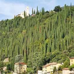 Panoramic view of trees and buildings against sky