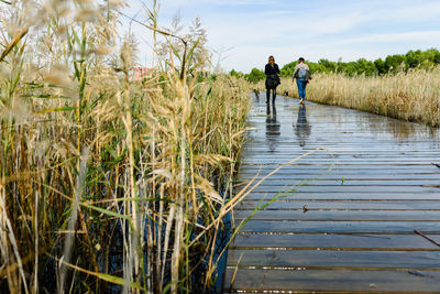 Rear view of couple walking on water