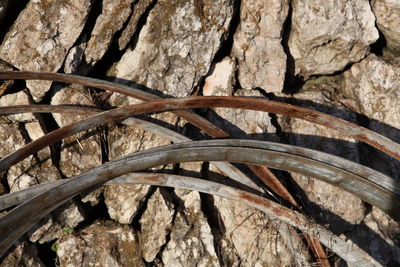 Full frame shot of wooden wall